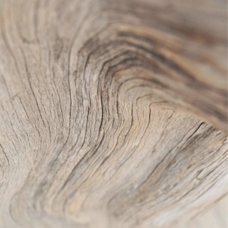 Close-up of natural wood grain reflecting authenticity, craftsmanship, and curated luxury in ASSOLUTO Studio About section.